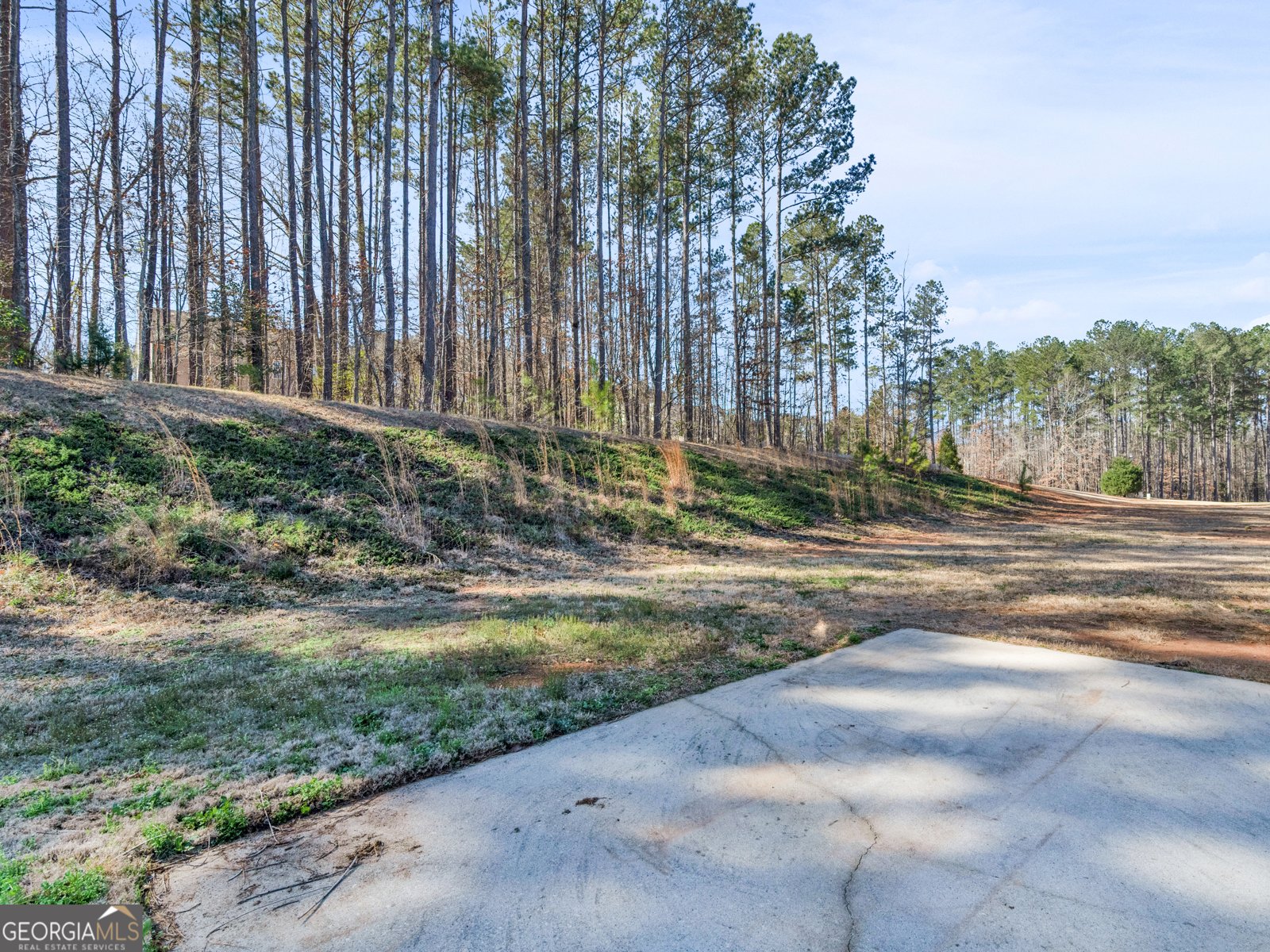 427 Oscar Court Mcdonough - 26