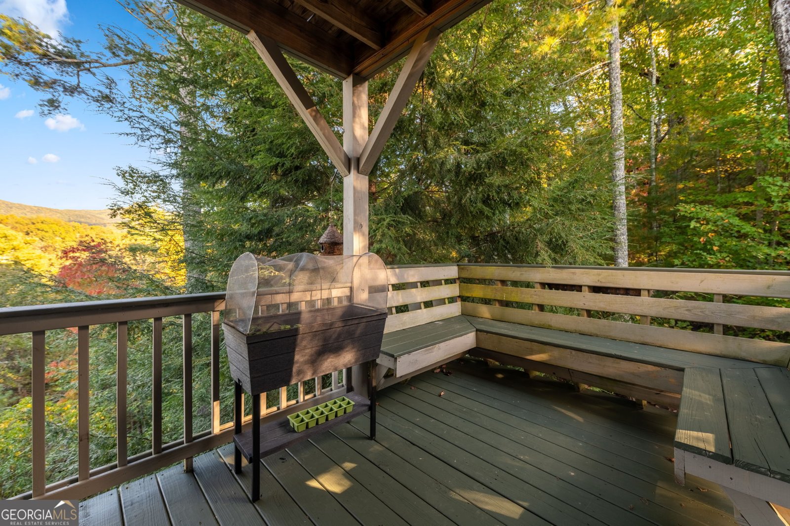 709 Laurel Creek Trail Blue Ridge - 34