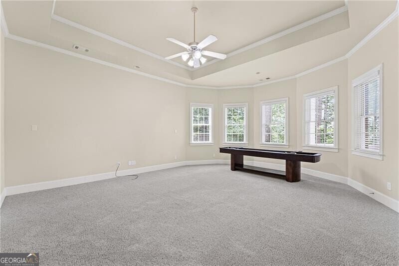 5293 Aldeburgh Drive Suwanee - 55