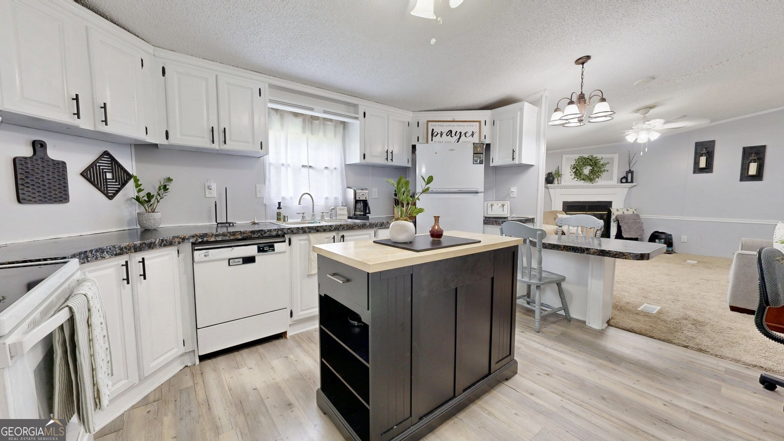 6350 Bargeron Road Blackshear - 27