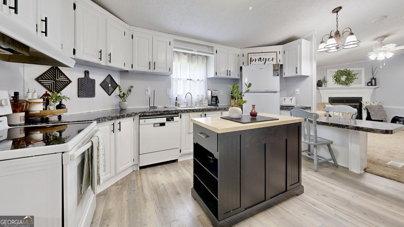 6350 Bargeron Road Blackshear - 28