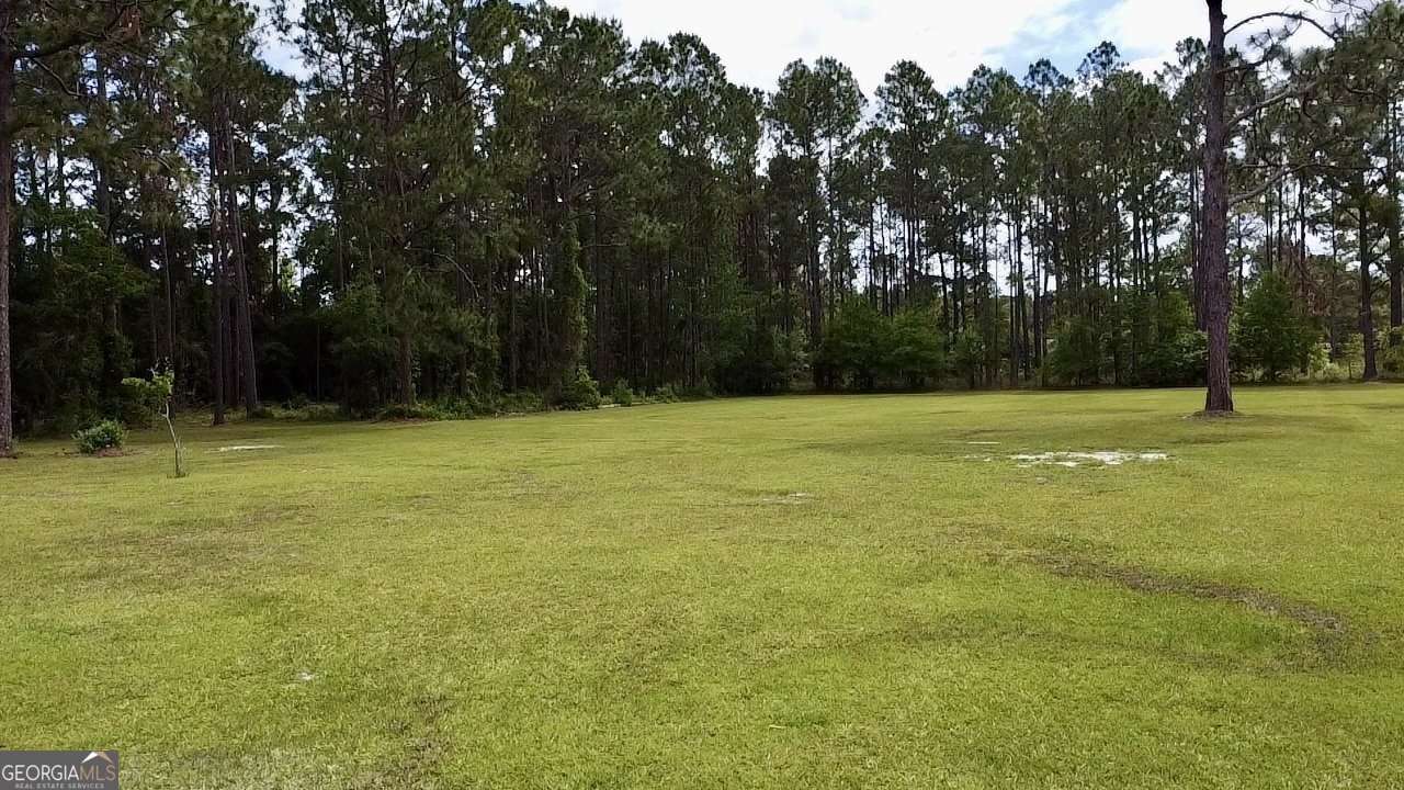 6350 Bargeron Road Blackshear - 52