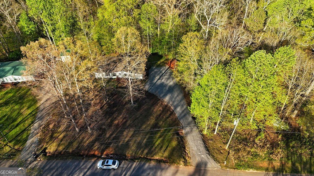 116 Chivalry Lane Ball Ground - 34