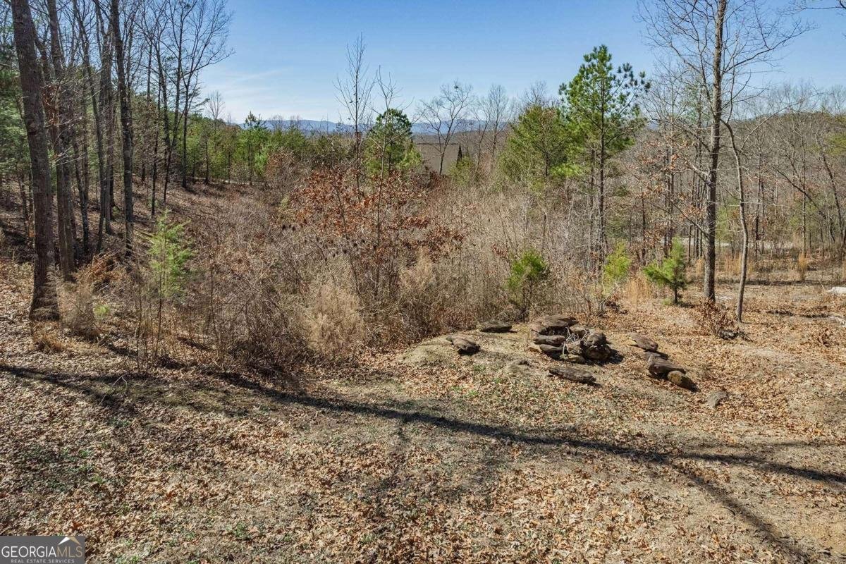 560 Endless View Road Mineral Bluff - 55