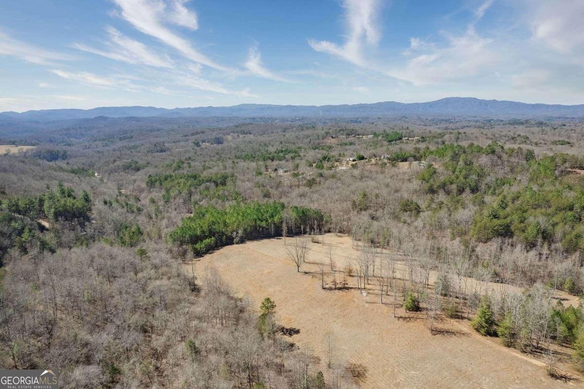 560 Endless View Road Mineral Bluff - 56
