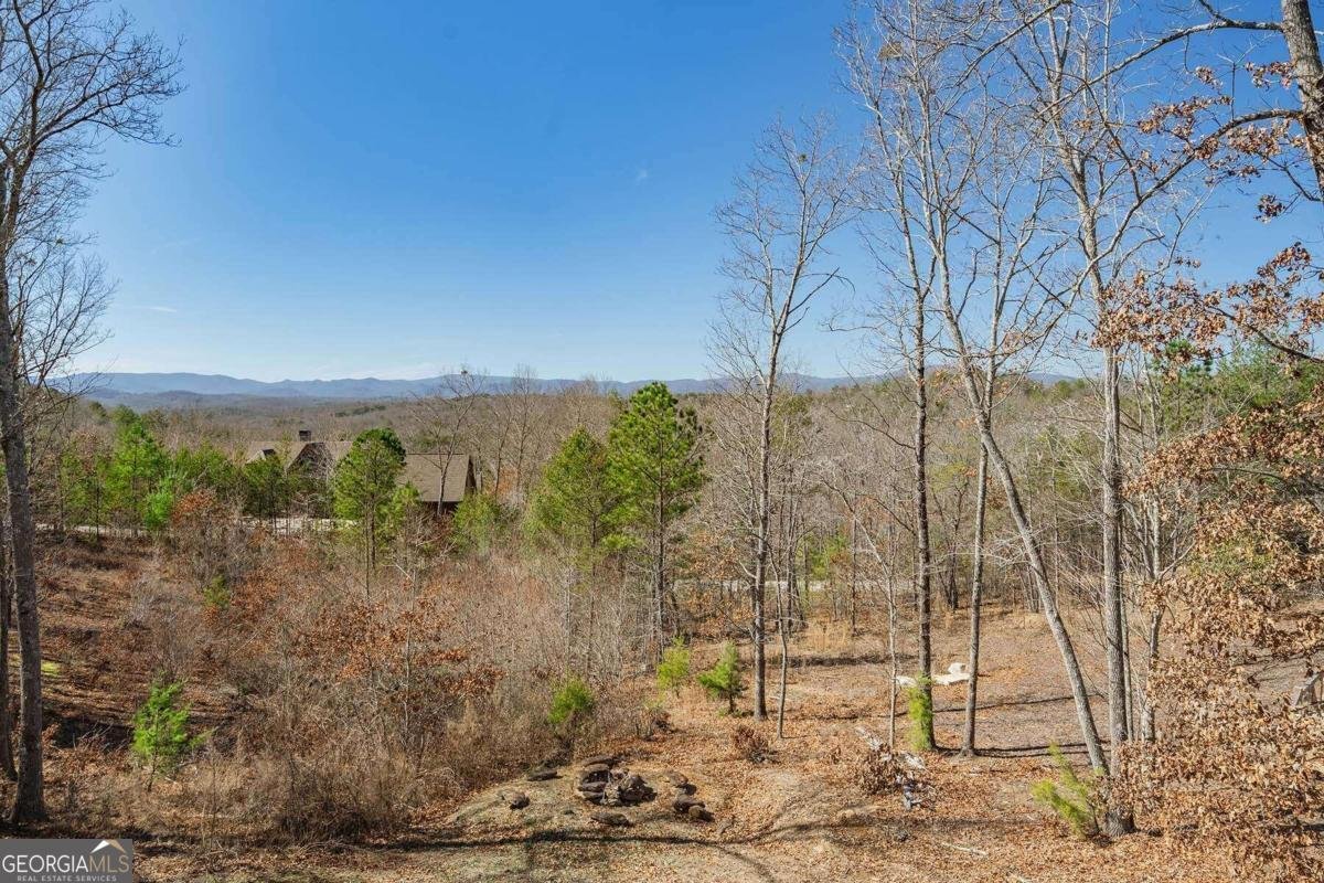 560 Endless View Road Mineral Bluff - 8
