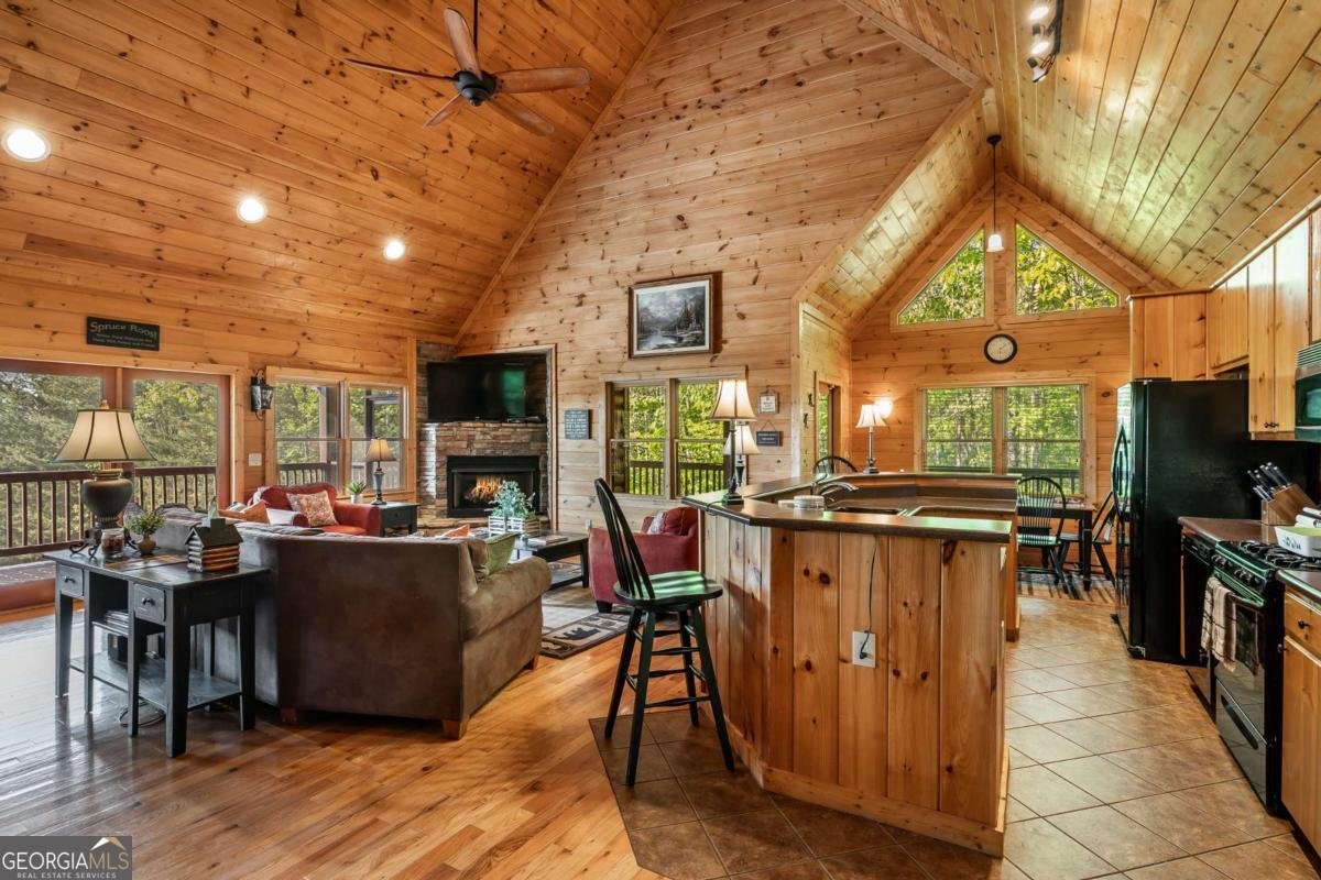 433 Spruce Circle Mineral Bluff - 12