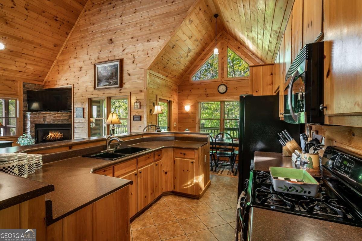 433 Spruce Circle Mineral Bluff - 18