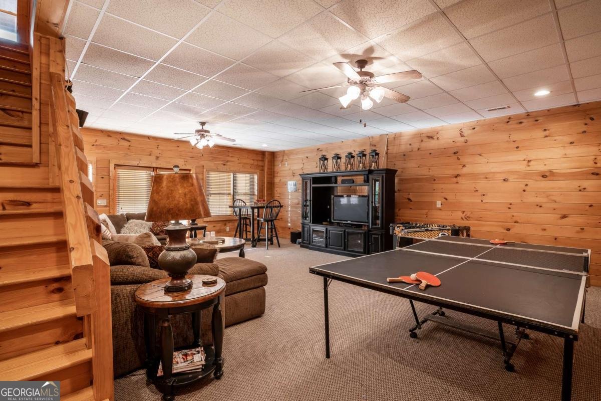 433 Spruce Circle Mineral Bluff - 48