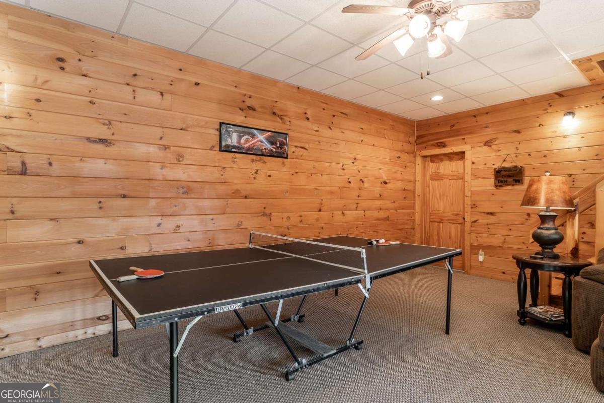 433 Spruce Circle Mineral Bluff - 49
