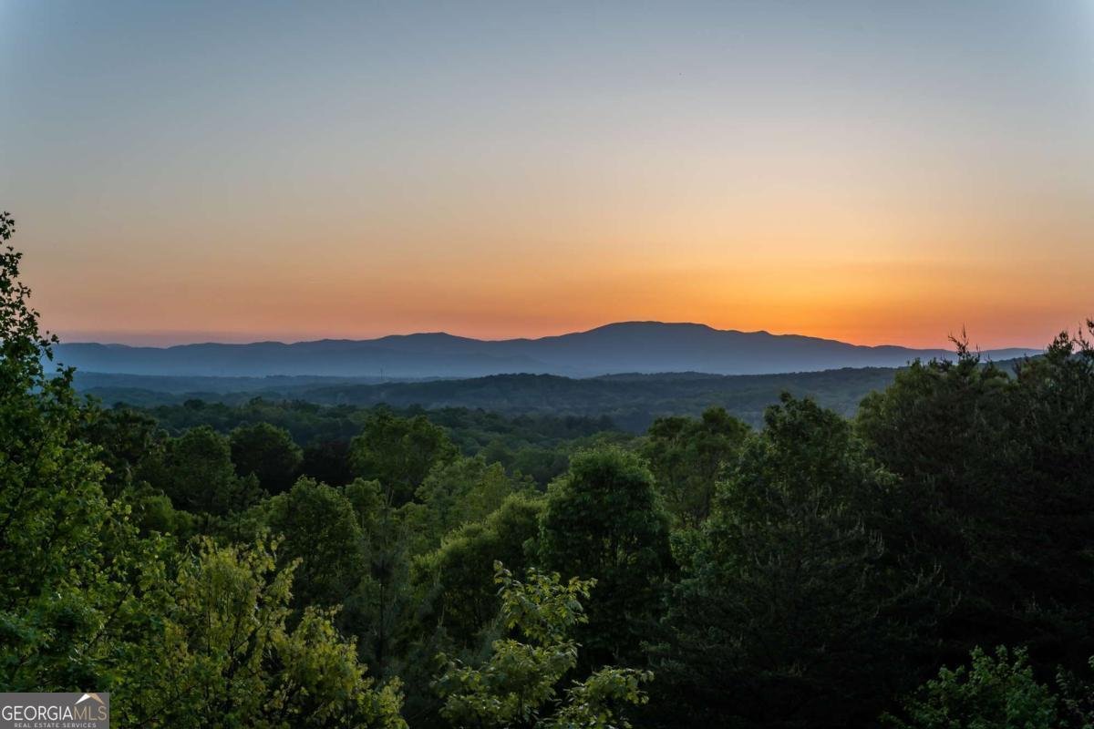 433 Spruce Circle Mineral Bluff - 5