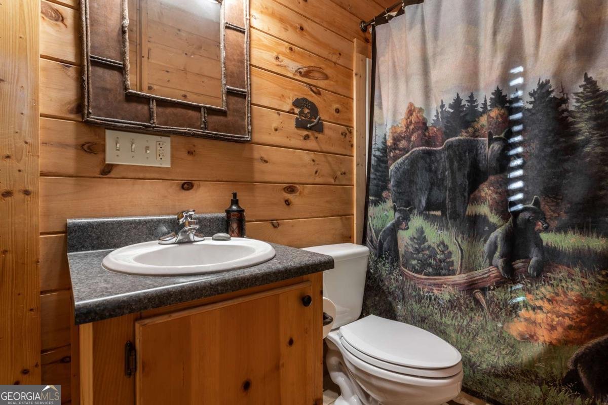 433 Spruce Circle Mineral Bluff - 52