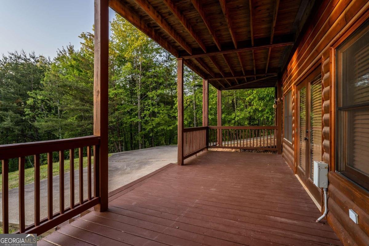 433 Spruce Circle Mineral Bluff - 64