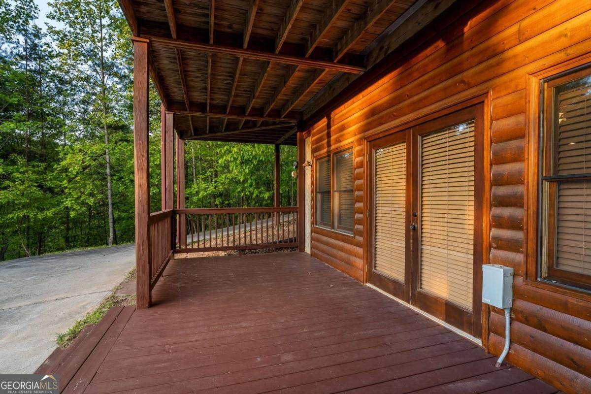 433 Spruce Circle Mineral Bluff - 66