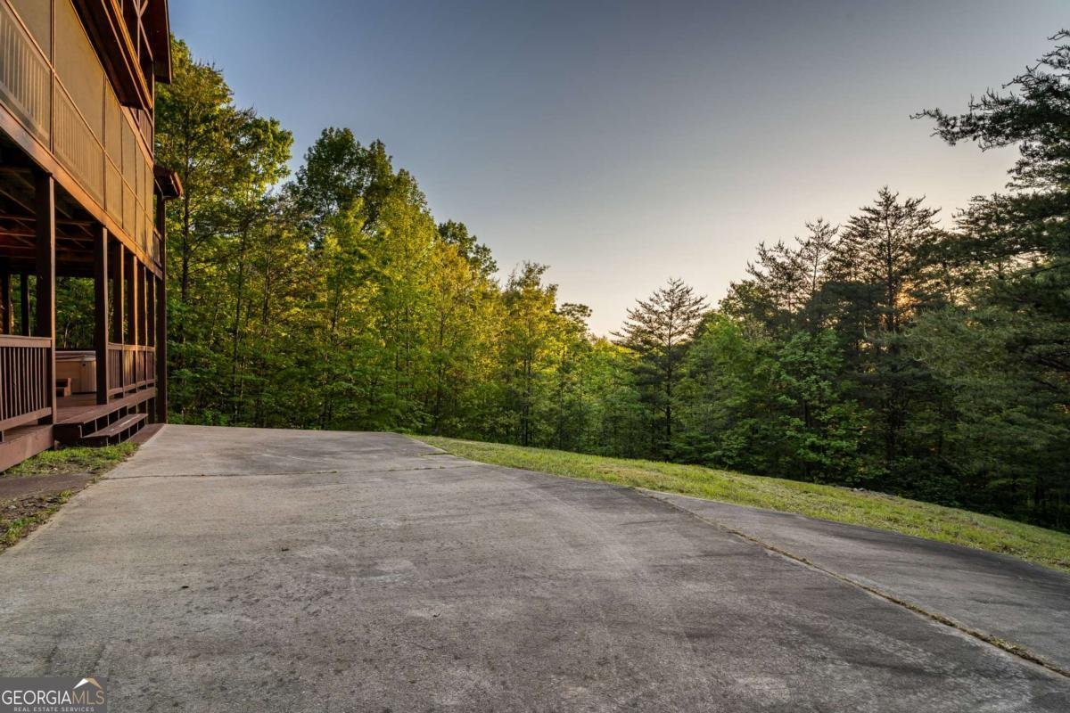 433 Spruce Circle Mineral Bluff - 67
