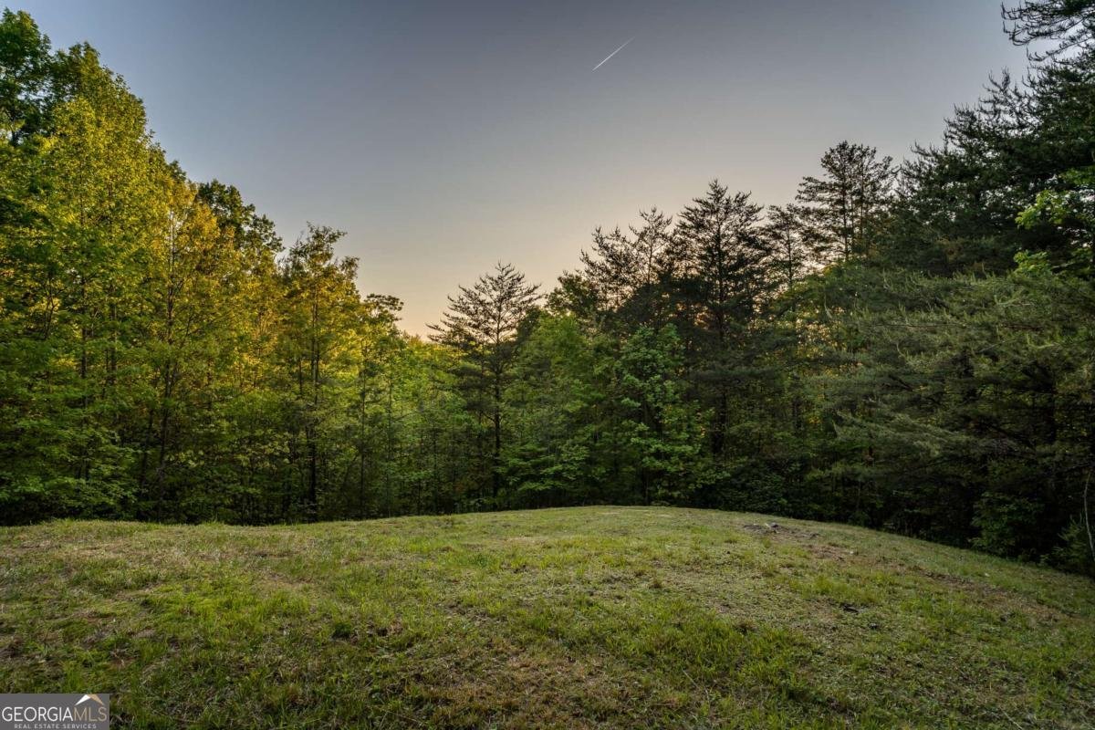 433 Spruce Circle Mineral Bluff - 68