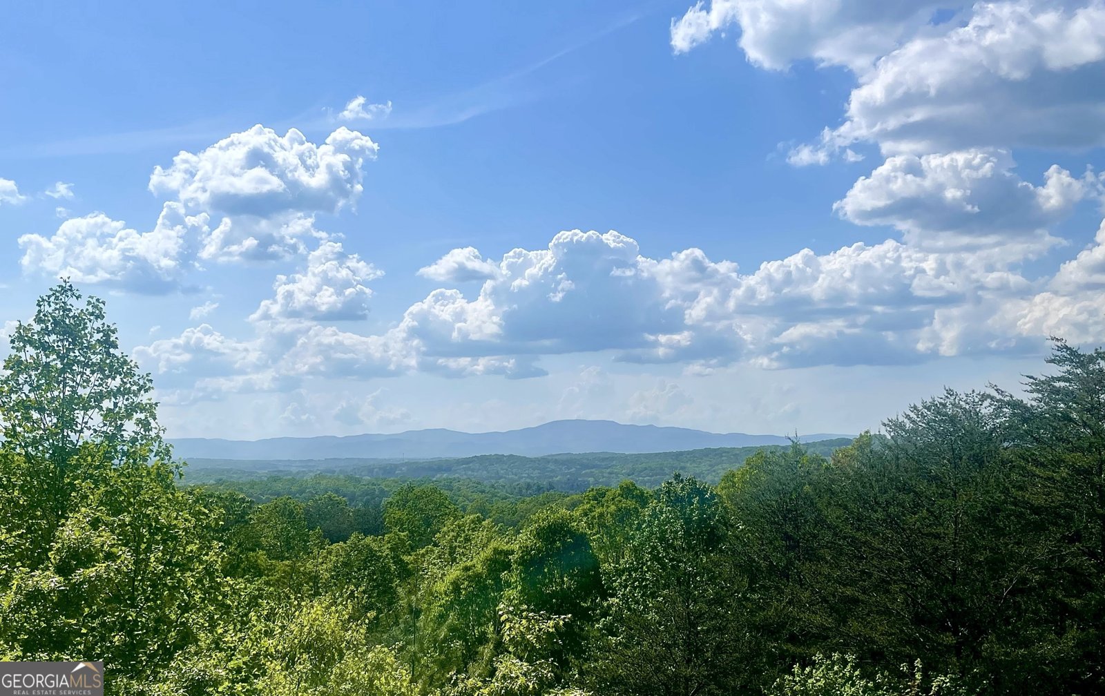 433 Spruce Circle Mineral Bluff - 73