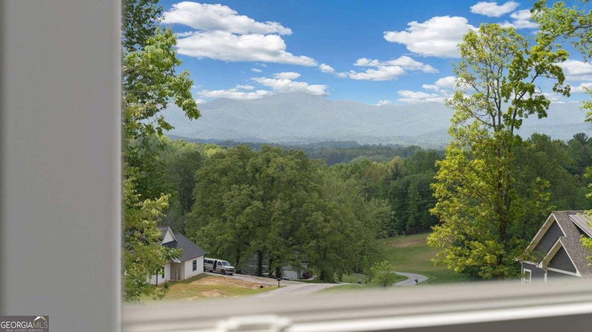 784 Arbor Lane Blairsville - 41