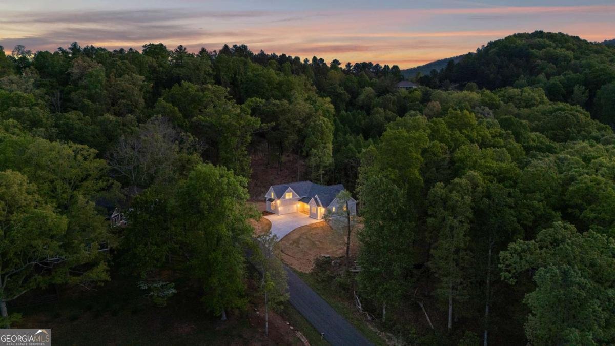 784 Arbor Lane Blairsville - 55
