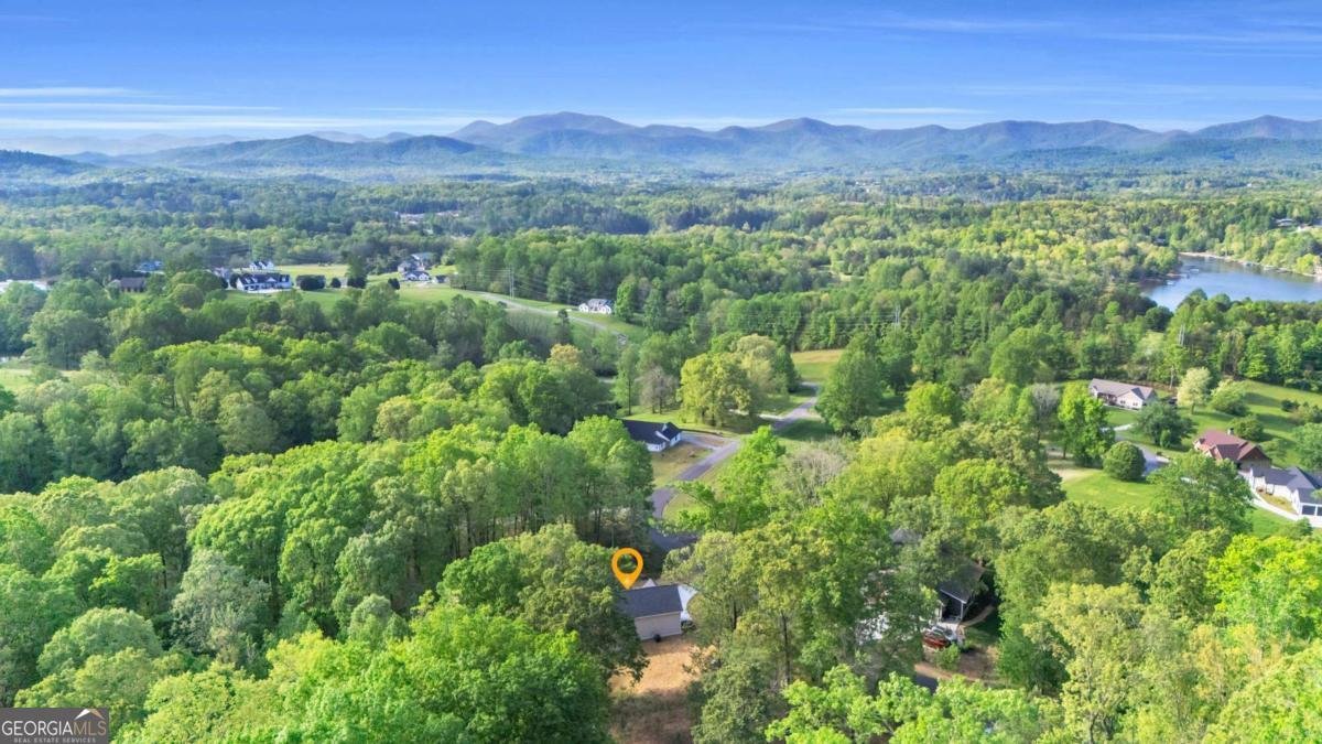 784 Arbor Lane Blairsville - 60