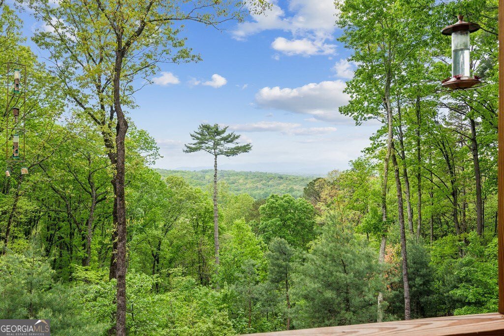 774 Hickory Ridge Drive Ellijay - 51