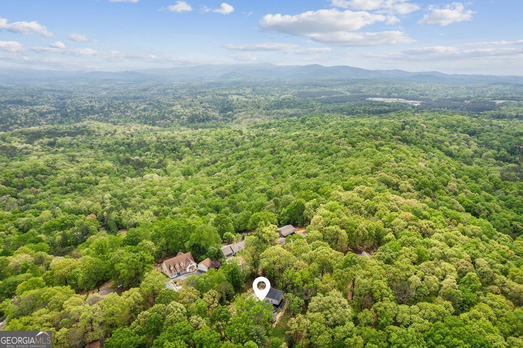 774 Hickory Ridge Drive Ellijay - 52