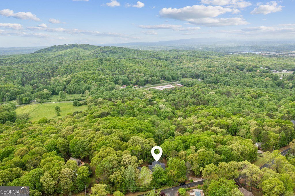774 Hickory Ridge Drive Ellijay - 53