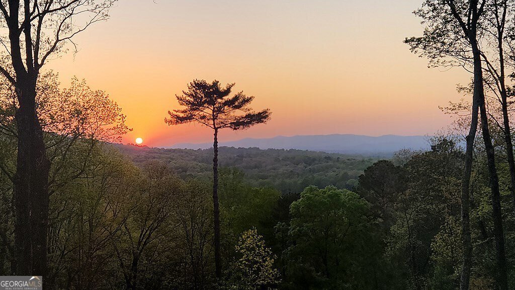 774 Hickory Ridge Drive Ellijay - 54