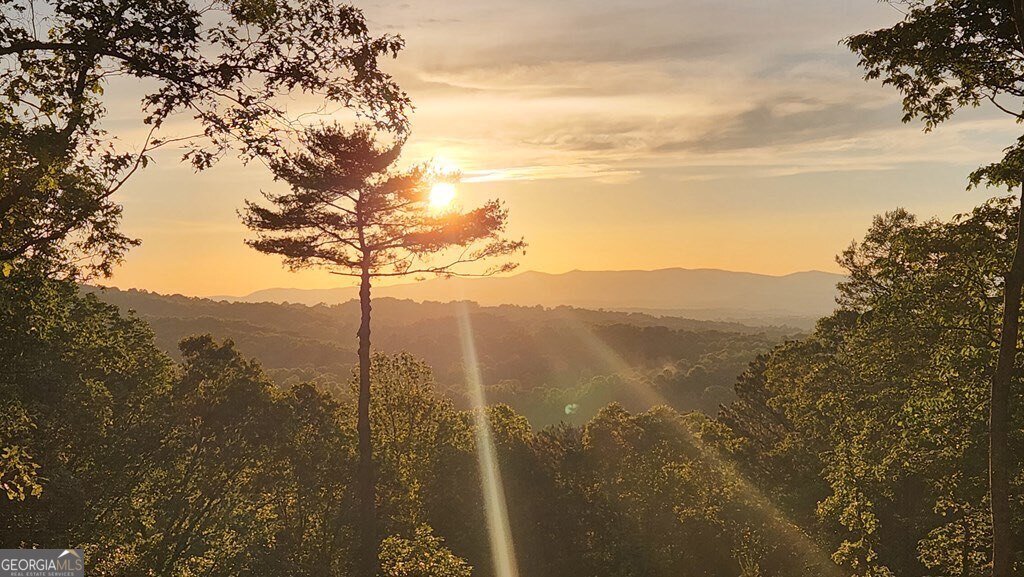 774 Hickory Ridge Drive Ellijay - 56