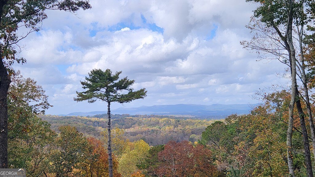 774 Hickory Ridge Drive Ellijay - 57