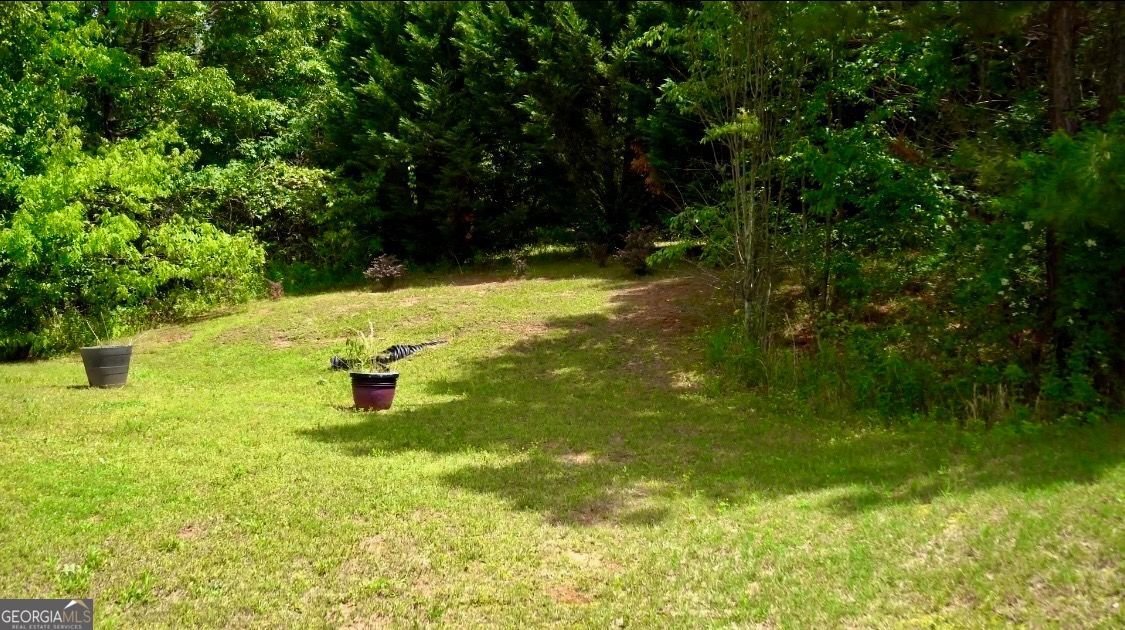 584 AMARANTH Trail Hoschton - 12