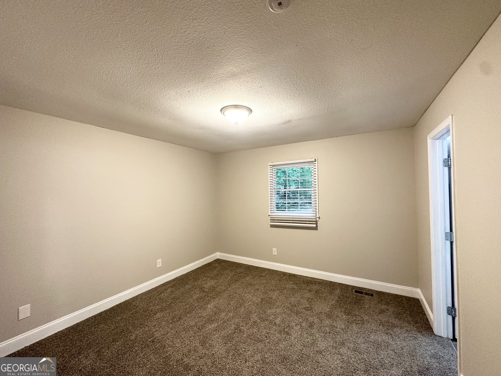 3995 Willowbrook Drive Douglasville - 13