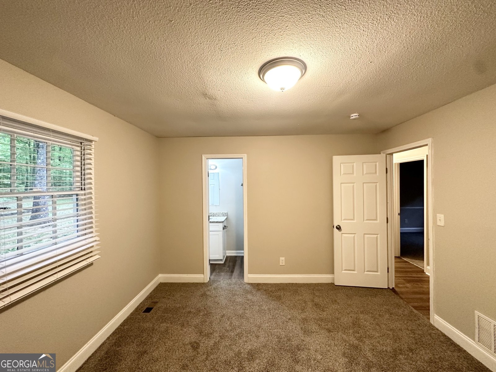 3995 Willowbrook Drive Douglasville - 14