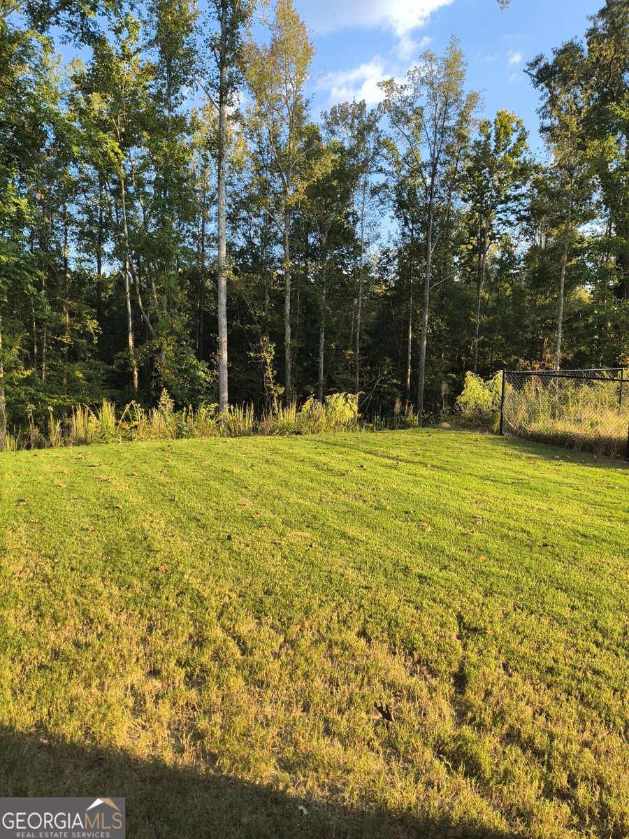 99 Cooperton Lane Villa Rica - 5