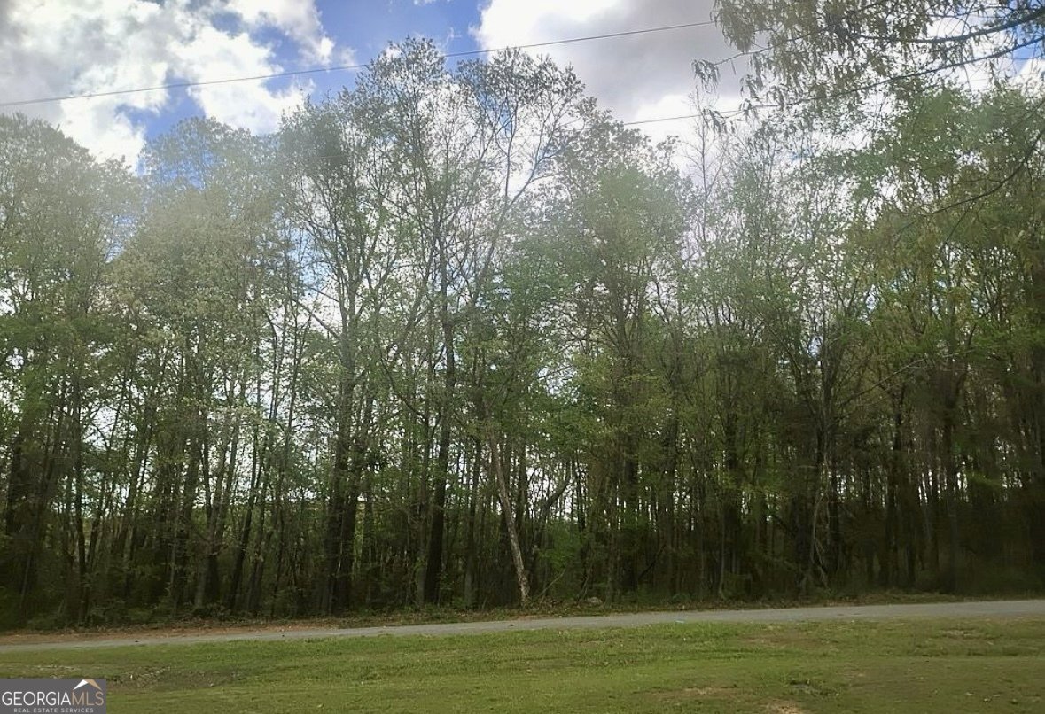 105 COUNTY ROAD 554 GAYLESVILLE - 33