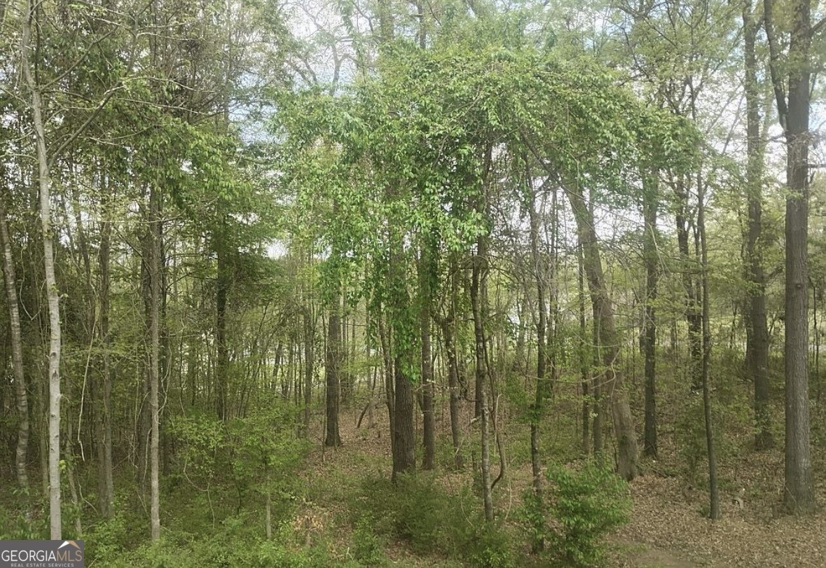 105 COUNTY ROAD 554 GAYLESVILLE - 34
