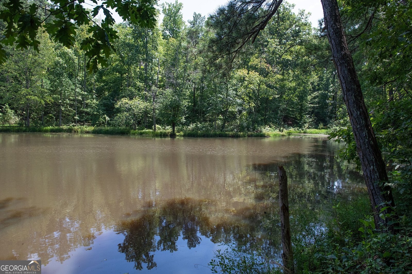 225 Blueberry Ridge Milton - 86