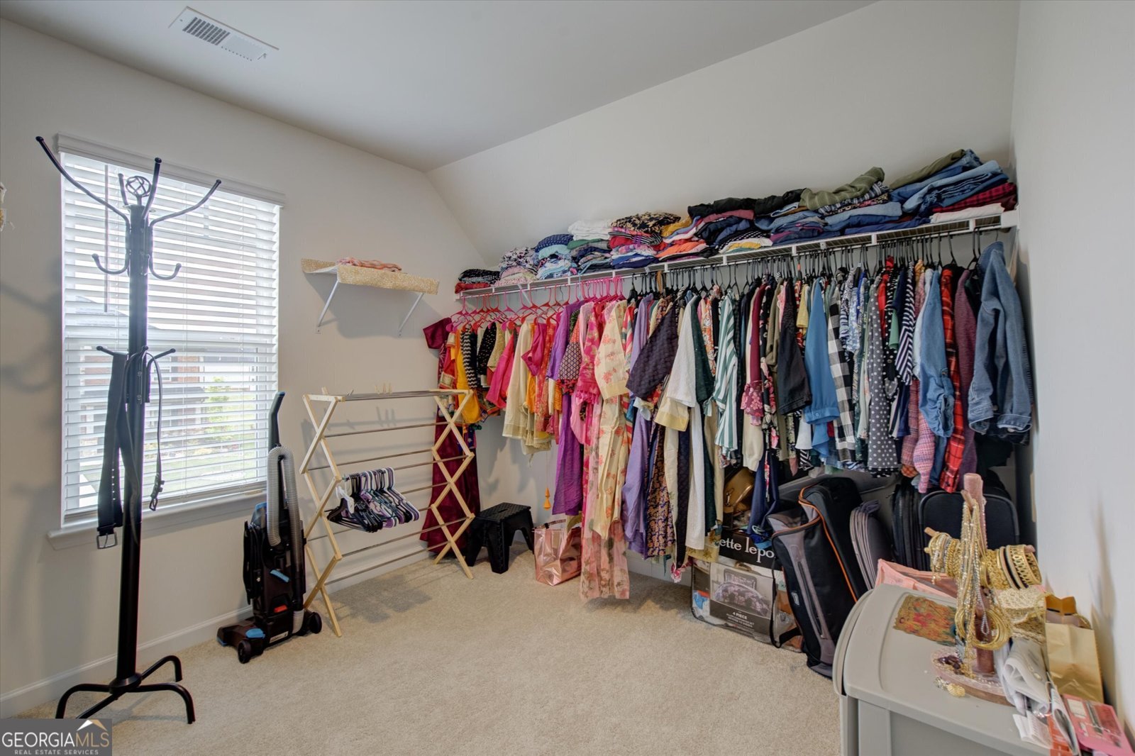 3236 Papyrus Palm Road Loganville - 27