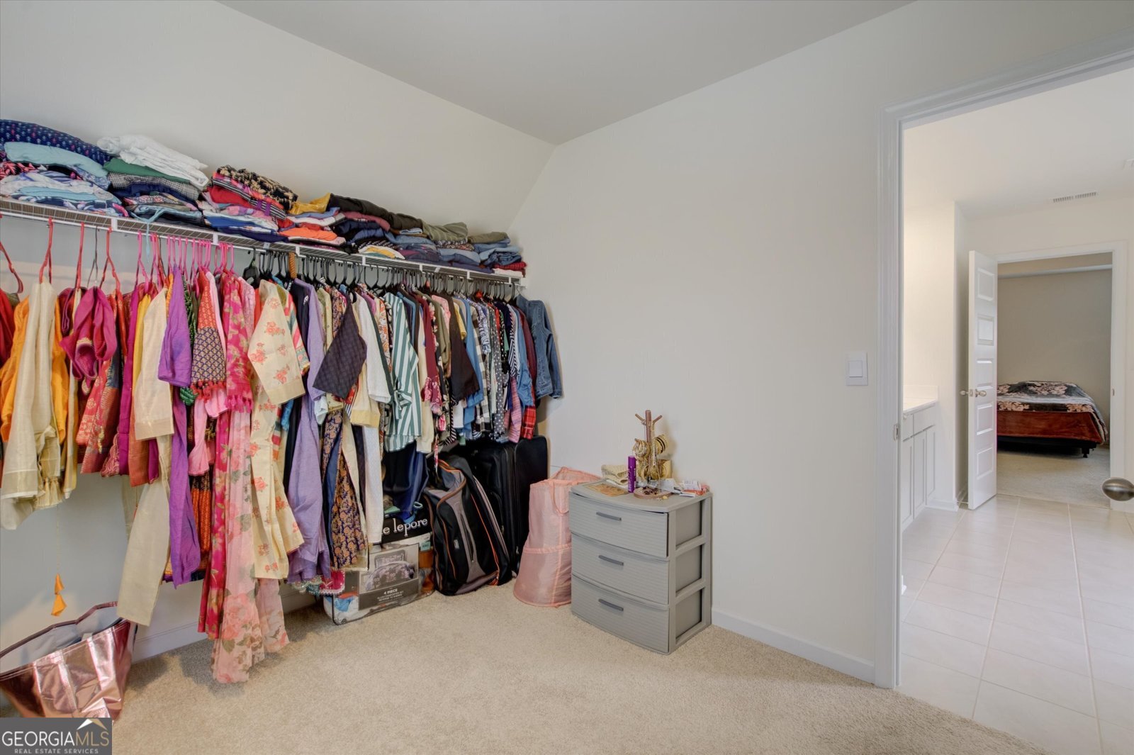 3236 Papyrus Palm Road Loganville - 28