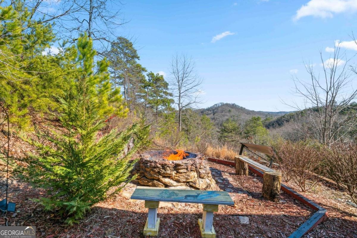 687 Anderson Lane Ranger - 37