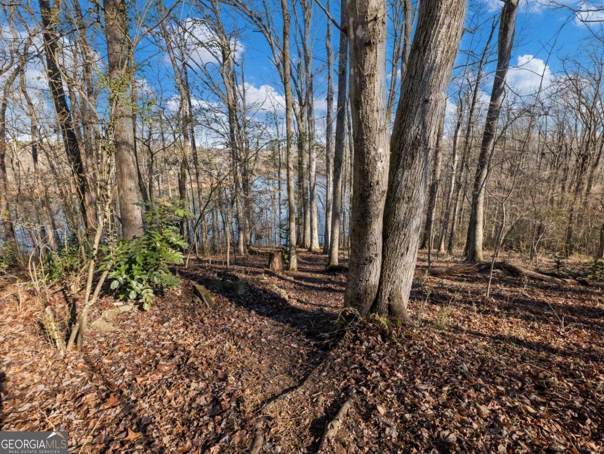2938 CHESTATEE Road Gainesville - 33