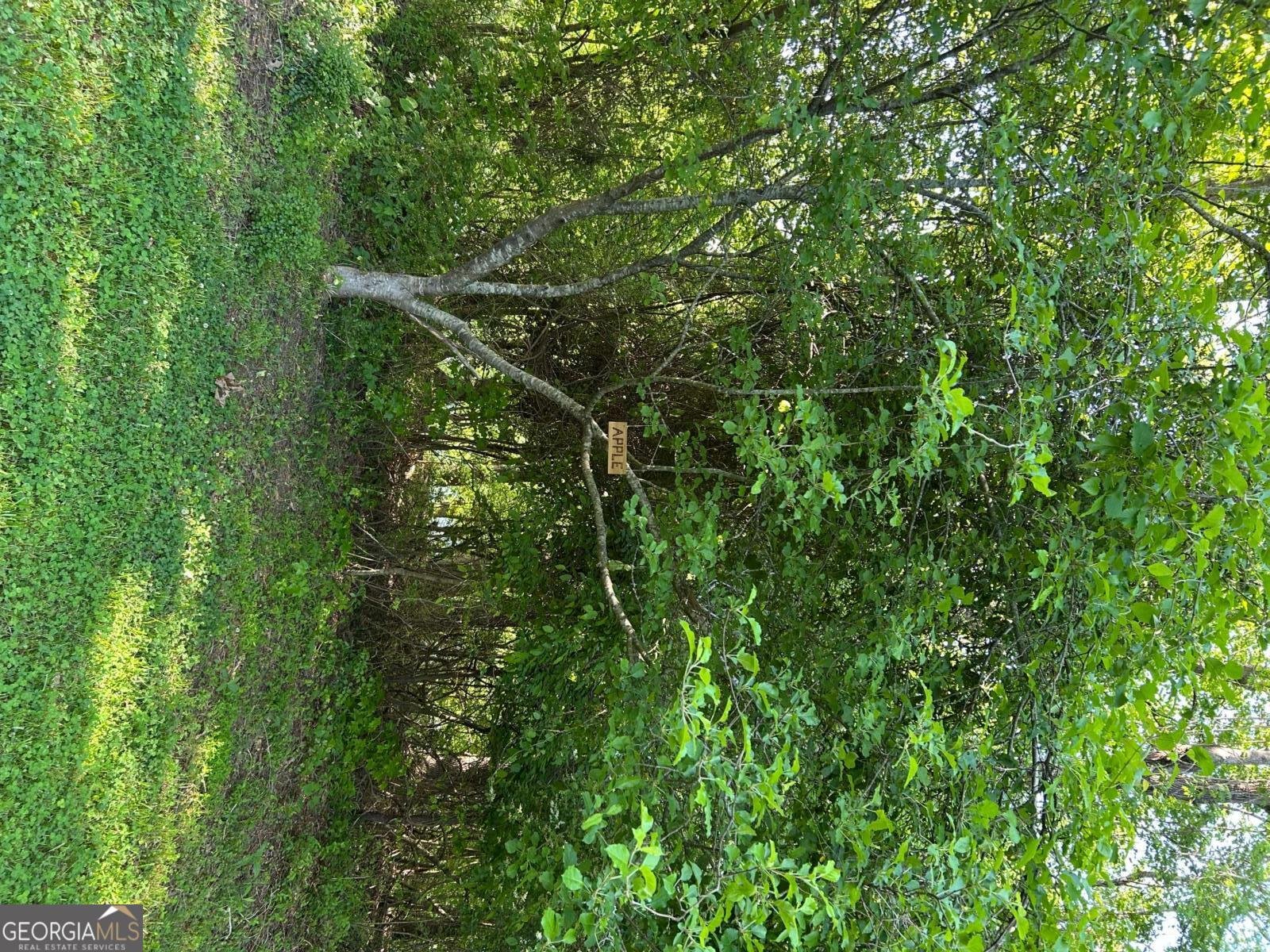 2938 CHESTATEE Road Gainesville - 49