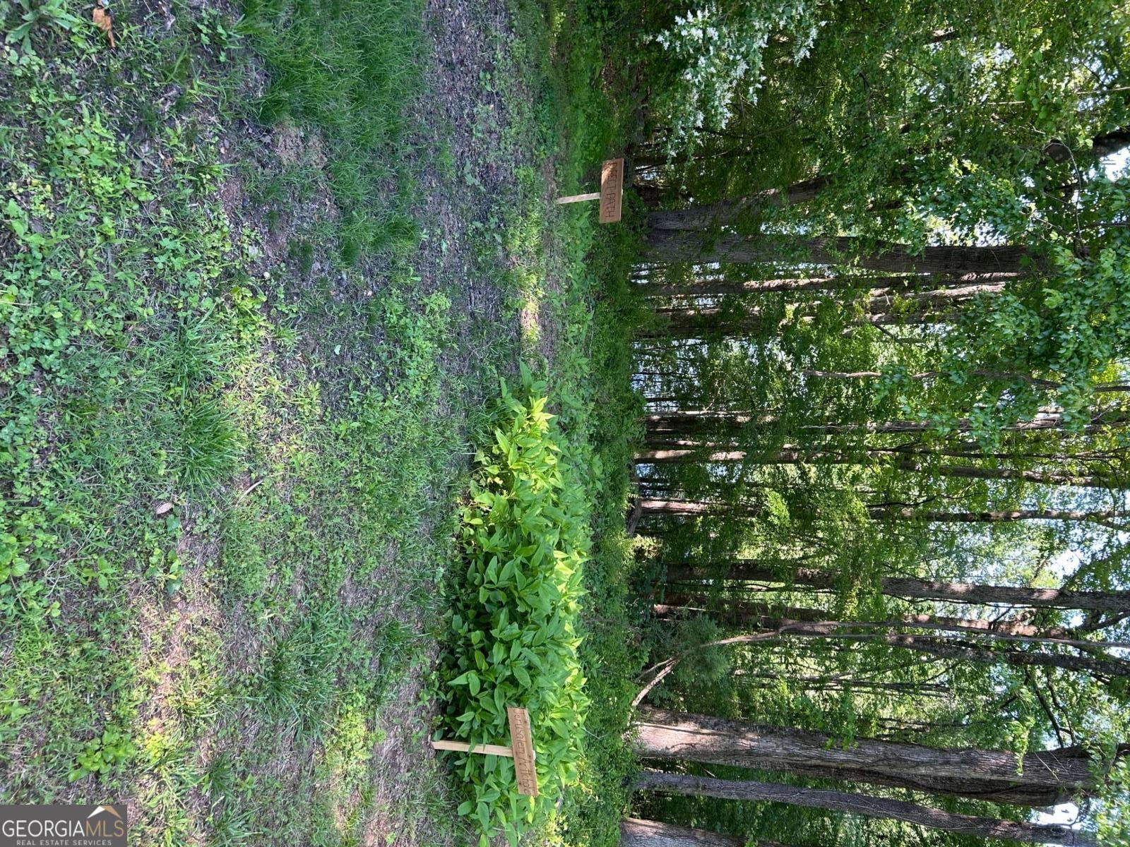 2938 CHESTATEE Road Gainesville - 51