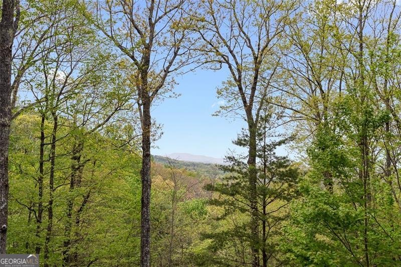 675 GREEN RIDGE Road Blue Ridge - 41
