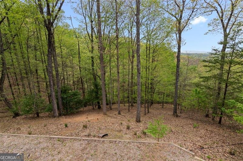 675 GREEN RIDGE Road Blue Ridge - 42