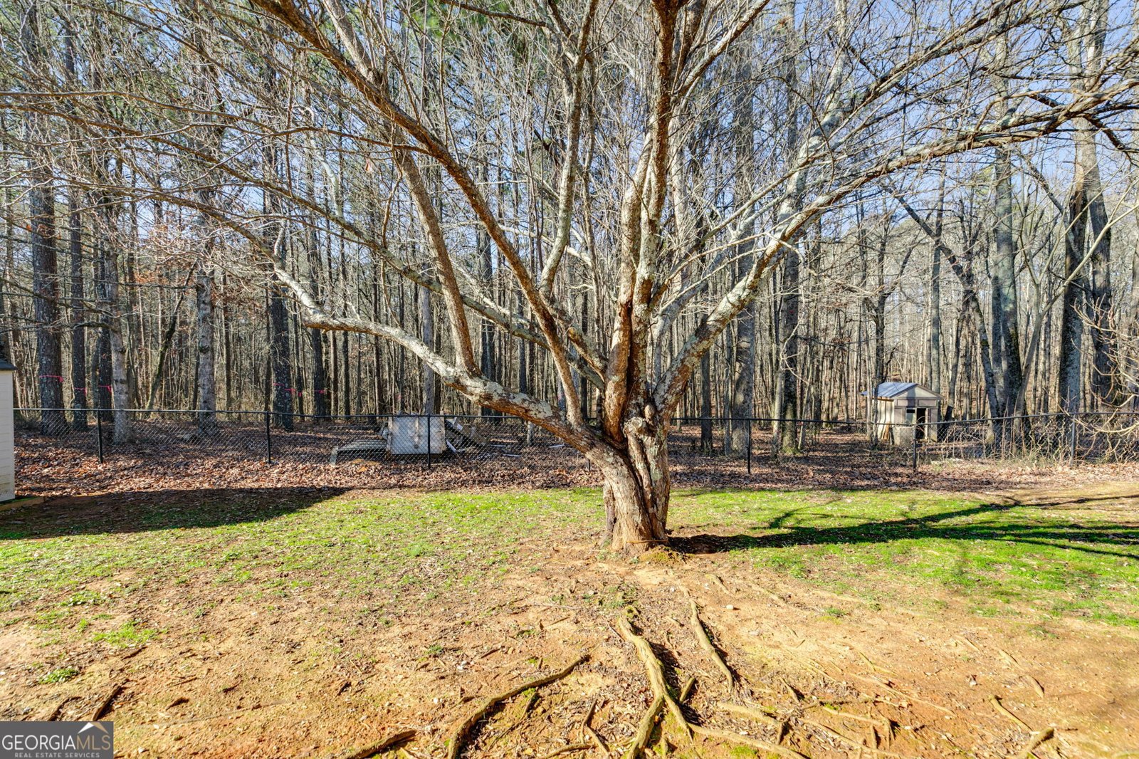 447 Wallace Way Rockmart - 23