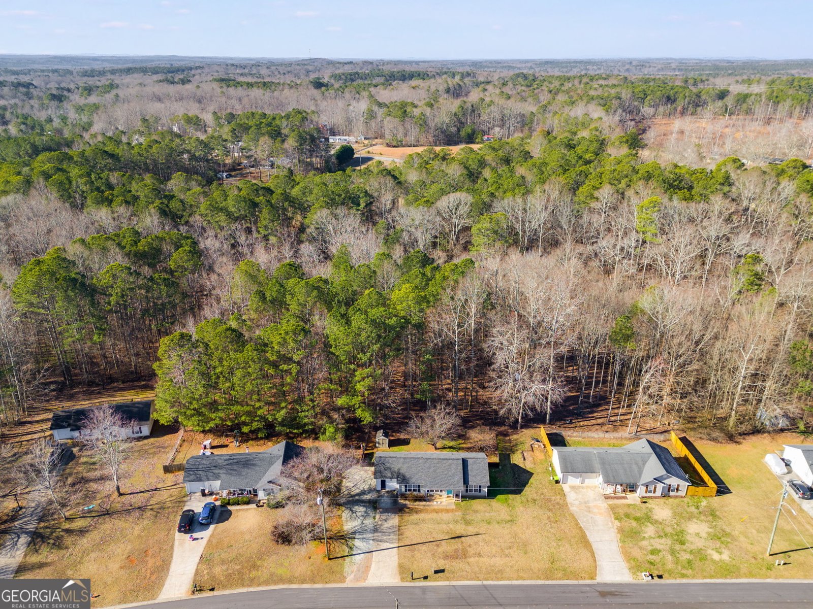 447 Wallace Way Rockmart - 29