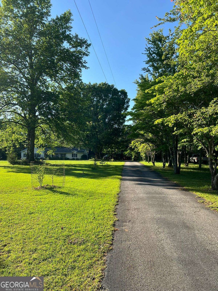 2262 Rat Kinney Road Statham - 6
