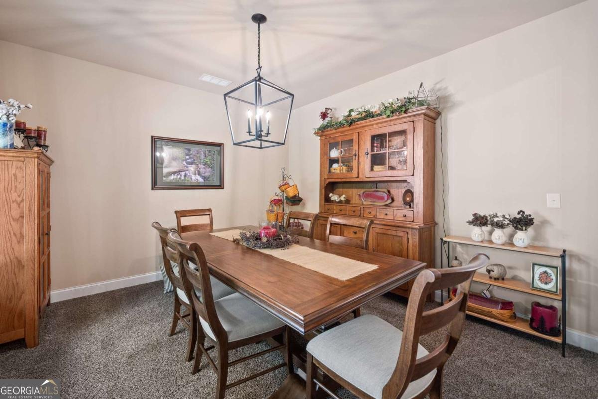126 Seneca Court Waleska - 10