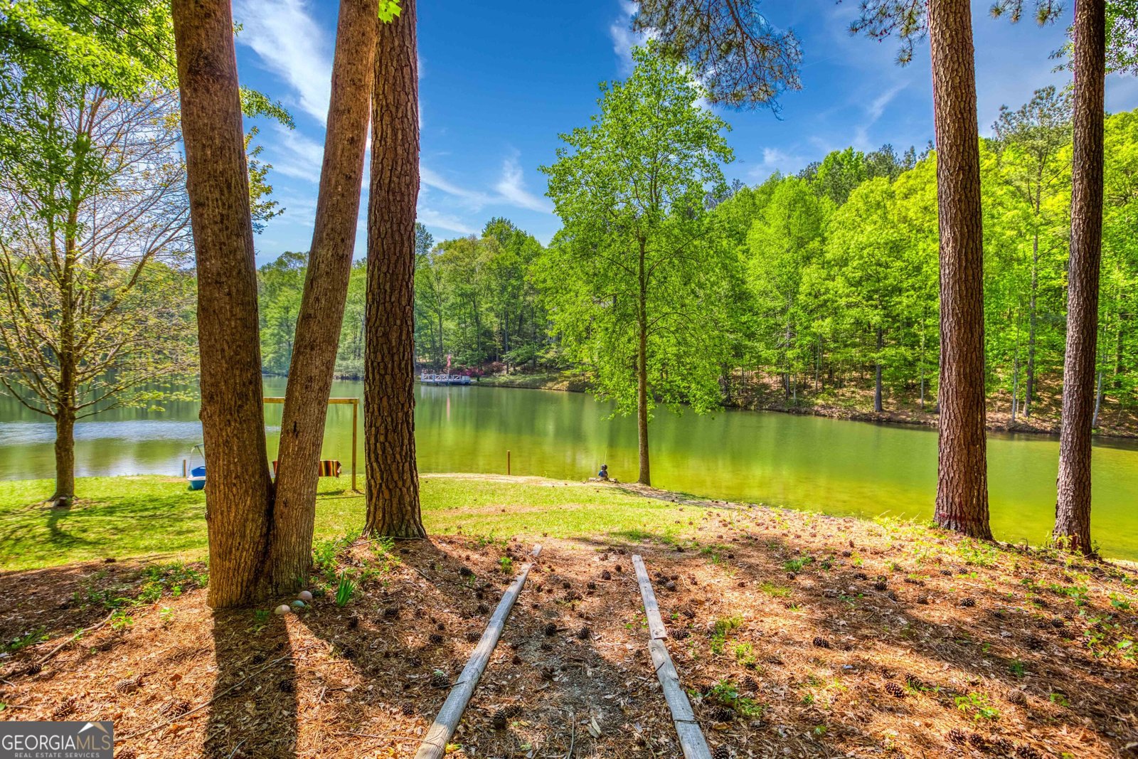 2334 Fisher Drive Loganville - 65